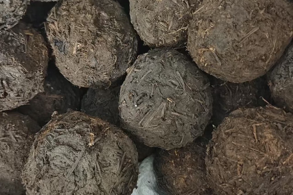 梧州六堡茶沱茶