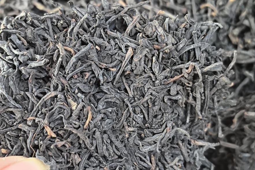 六堡茶散茶：原生态形态下的时光滋味