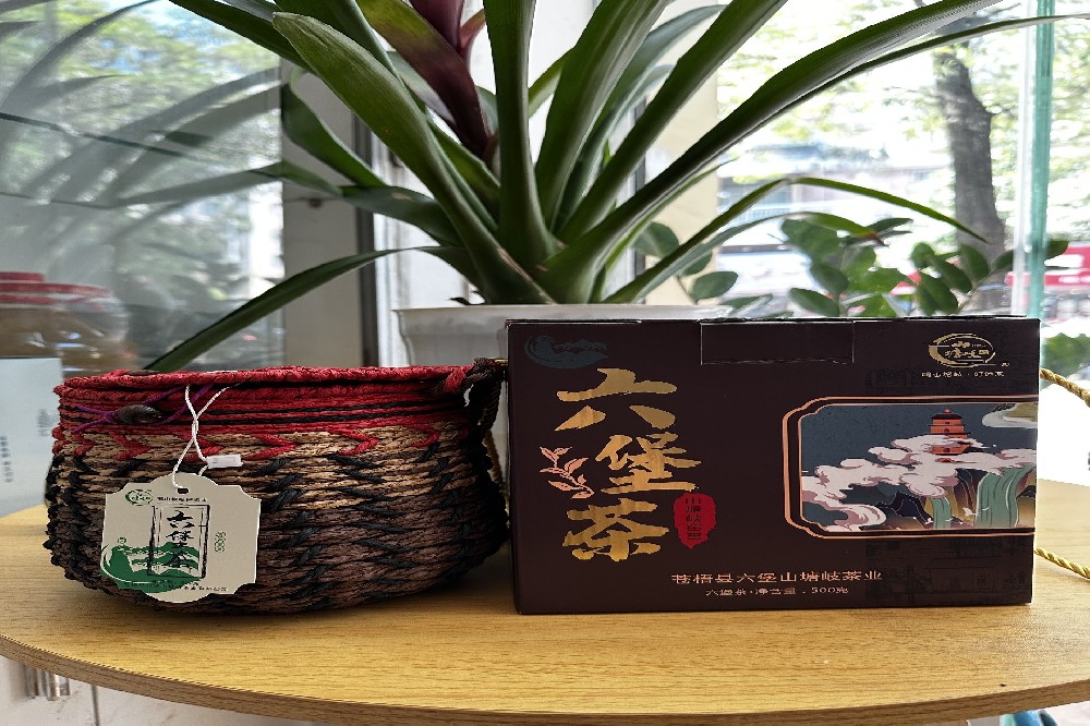 现代工艺六堡茶冷水渥堆：山塘岐的“控温秘钥”，解锁六堡茶的纯净陈香