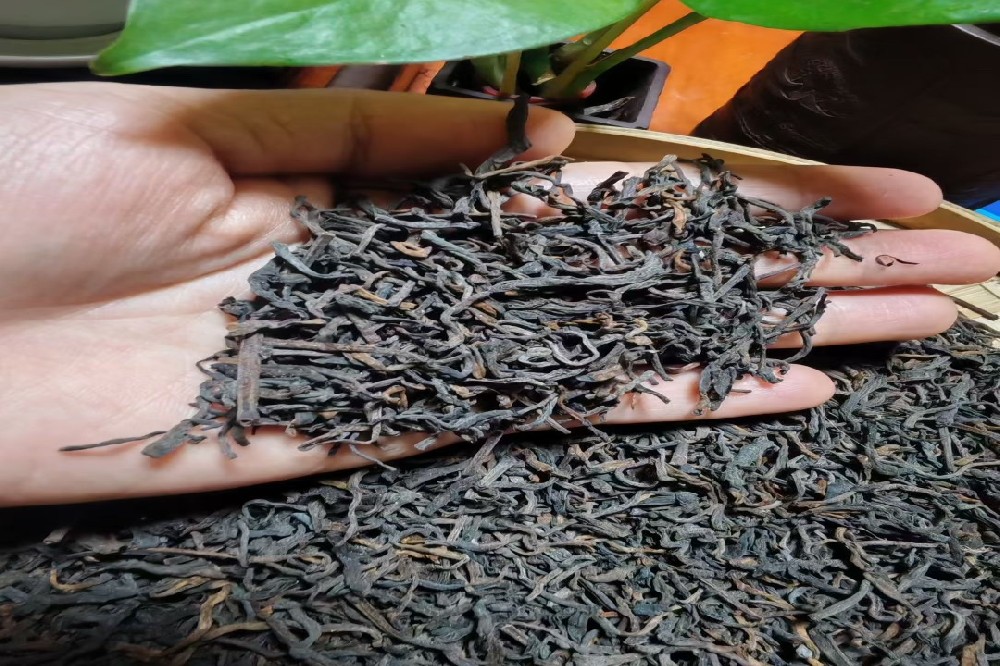 六堡茶：天然脂肪分解与解腻高手，科学揭秘饭后一杯茶的消脂奥秘