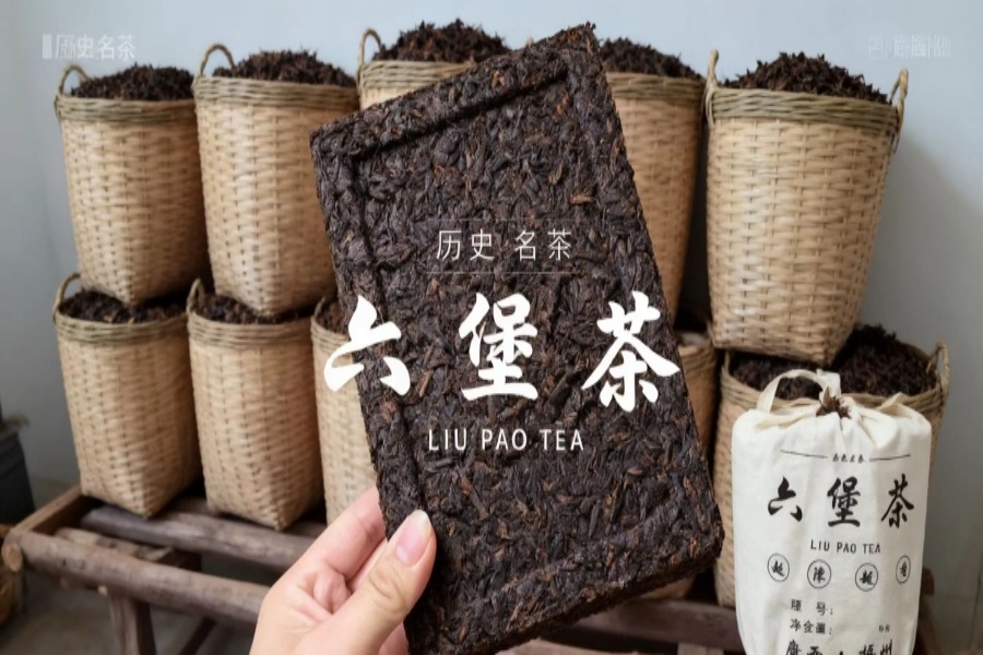 六堡茶祛湿成分解析:揭秘“金花”与微生物的合力奥秘