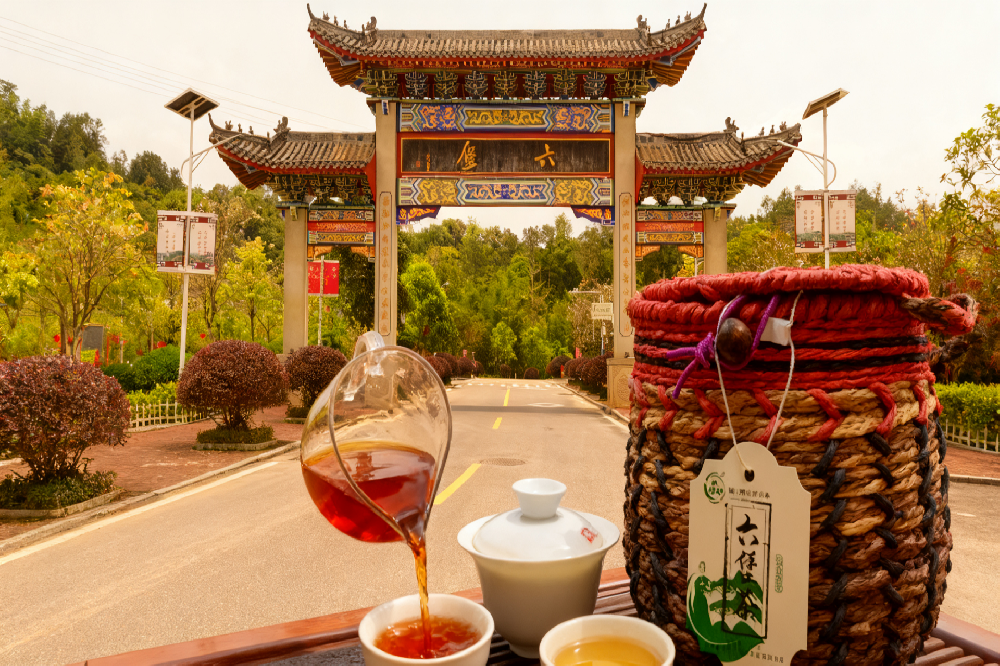 六堡茶改善消化不良:山塘岐匠心茶品,让肠胃重获舒适活力