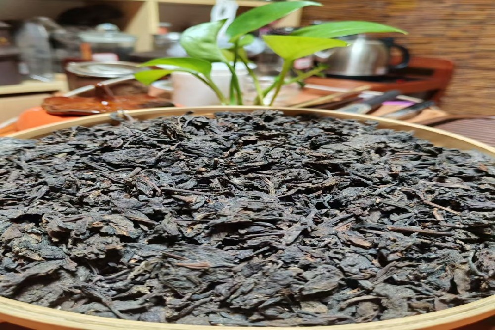 六堡茶利水渗湿:山塘岐六堡茶的健康奥秘与自然馈赠