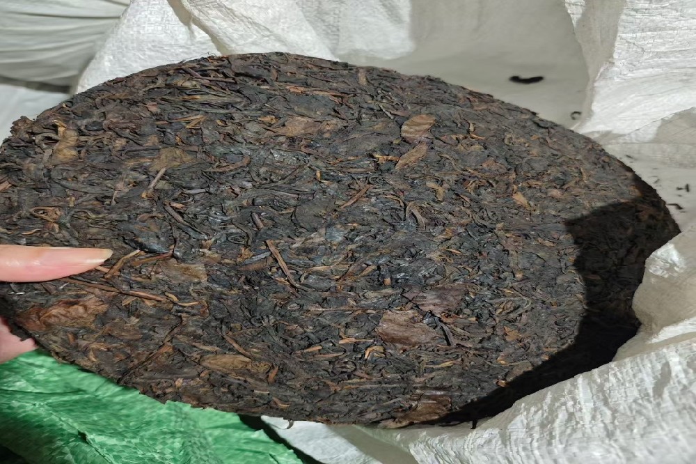 1500 多年前,一盏茶香自苍梧起:山塘岐六堡茶的千年源流