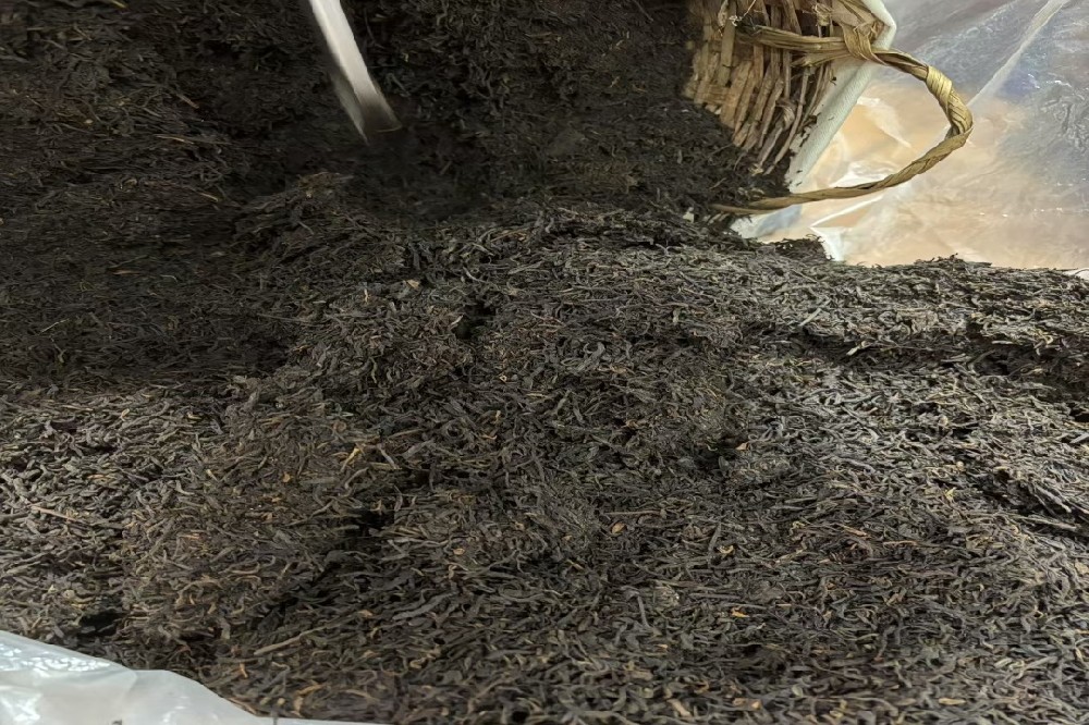 山塘岐六堡茶：诗词与文学作品中的灵韵之饮