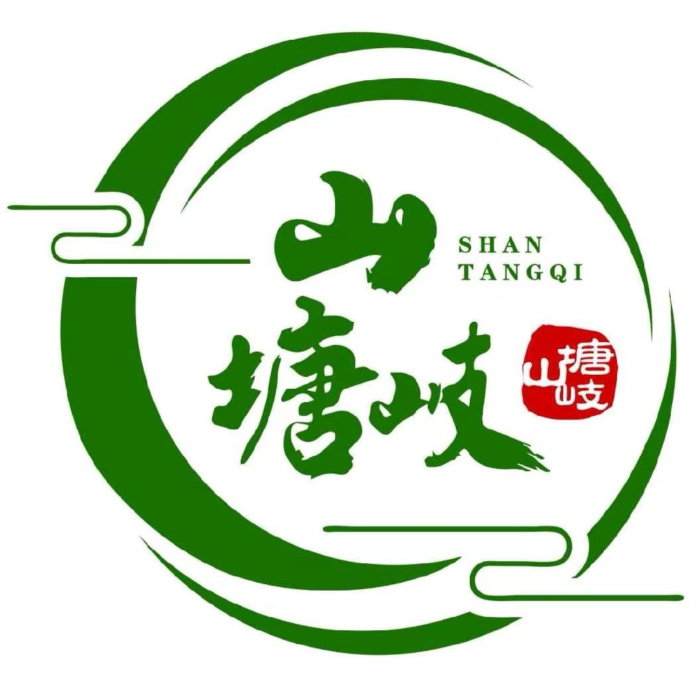 千年名茶，岁月醇香：探秘苍梧六堡山塘岐的古今传承与新生