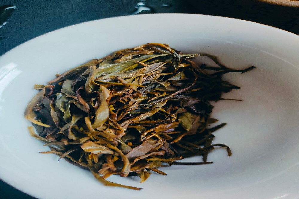 苍梧六堡茶产地环境优势