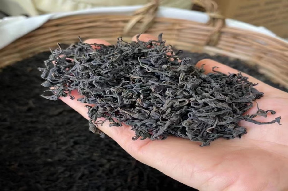 六堡茶品牌格局解析：哪些品牌值得关注与收藏