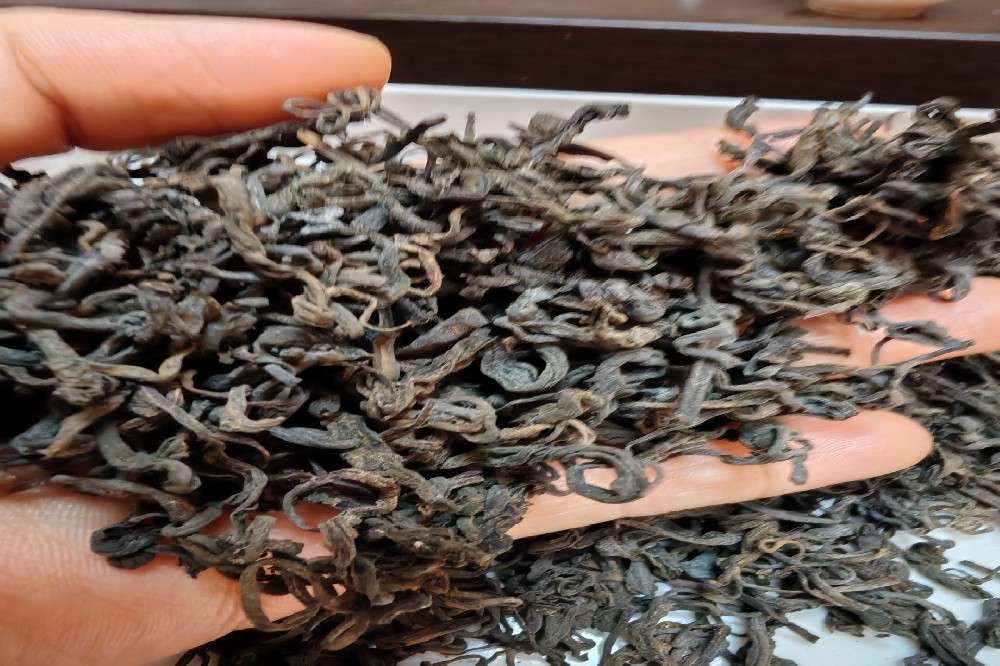 山塘岐六堡茶：源自核心产区的天然“血糖调节师”