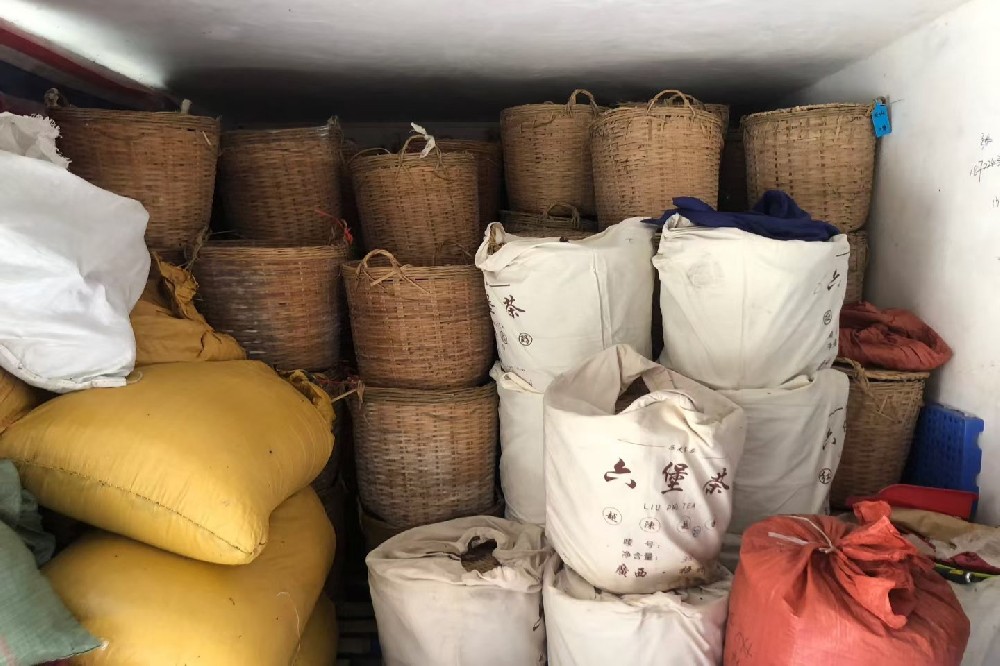 寻味六堡，探源核心：山塘岐里藏着的桂派茶韵