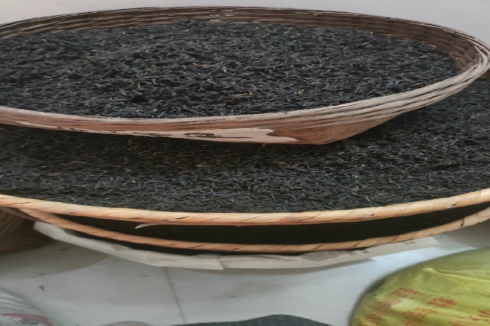 探秘苍梧六堡茶:山塘岐品牌,现代工艺传承与创新的完美融合