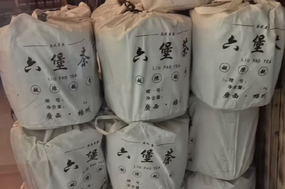 茶叶生产进入工业4.0时代:探访苍梧县六堡山塘岐茶业的全自动化制茶革命