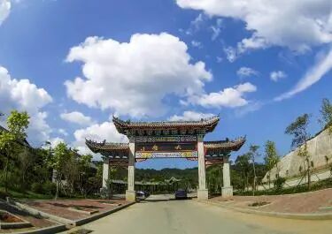 六堡茶1.jpg