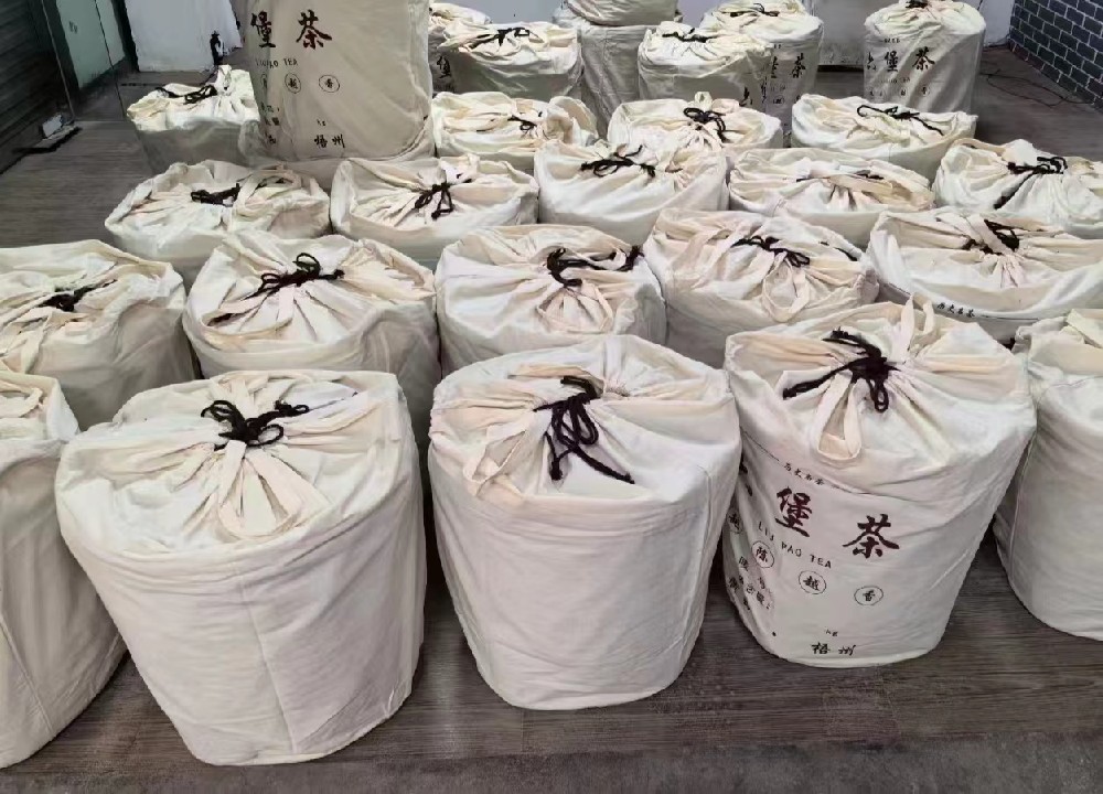 现代工艺六堡茶汽蒸焗堆制作：从非遗传承到匠心升级的苍梧茶事