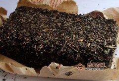 六堡茶古法制作：追寻指尖传承的活态茶史